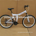 Hot sale folding bike, folding electric bike,mini folding bicycle